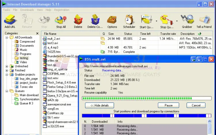 Download IDM Full Crack