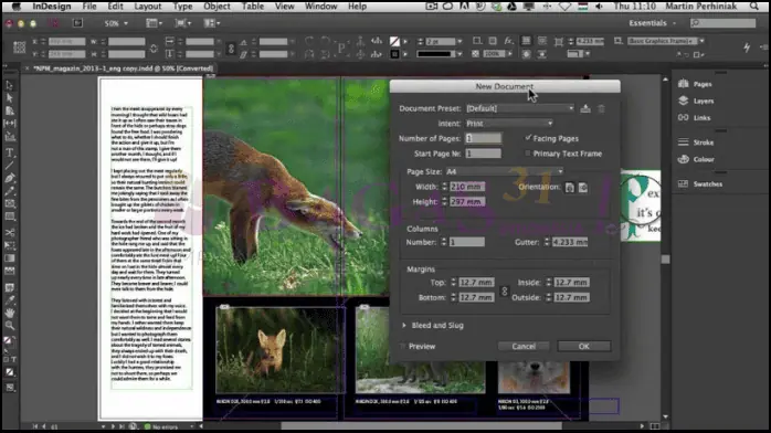 Adobe InDesign Bagas31​