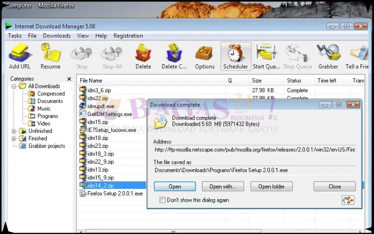 Download IDM Full Crack