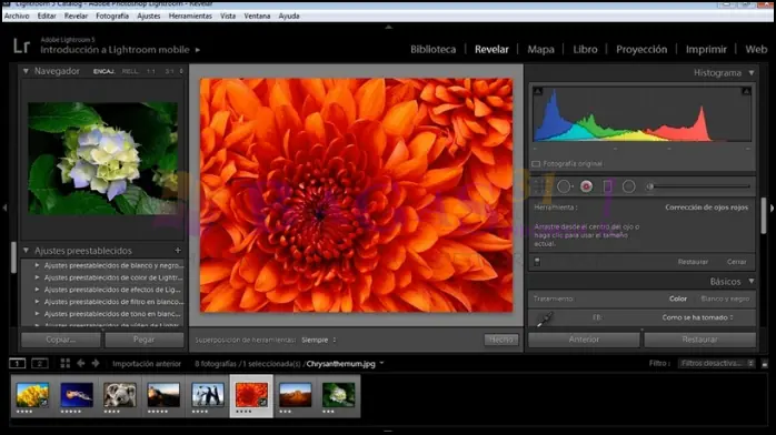 Download Lightroom For PC Bagas31 Terbaru 2025
