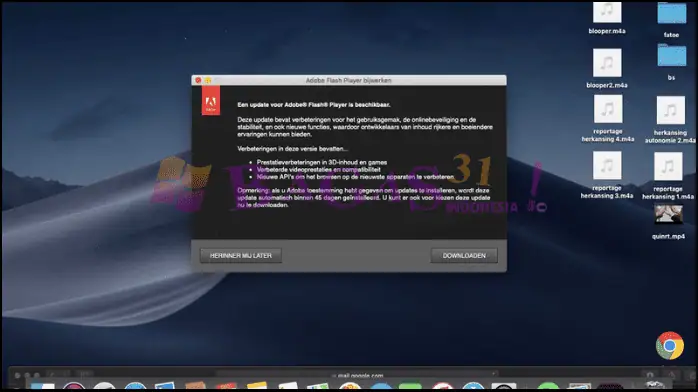 Download Adobe Flash Player Bagas31 Terbaru 2025
