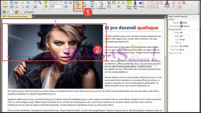 PDF Xchange Editor Kuyhaa 10.5.1.394 Full Terbaru